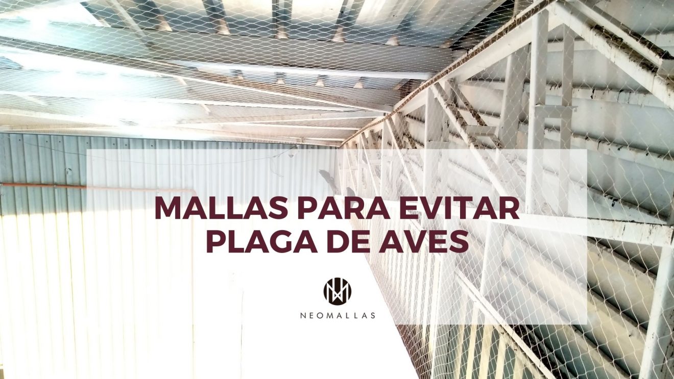 Mallas para evitar plaga de aves